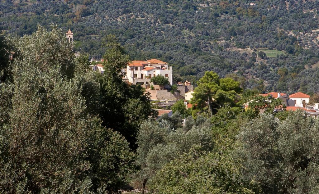 Amari Villas Exteriör bild